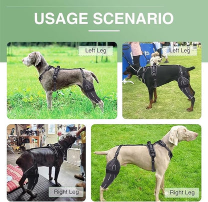 Dog Knee Brace for ACL/CCL Injuries,Torn Ligament,Luxating Patella - Rear Leg Support,Pain Relief,Joint Warmth,Left Legs,Black,Size:XL