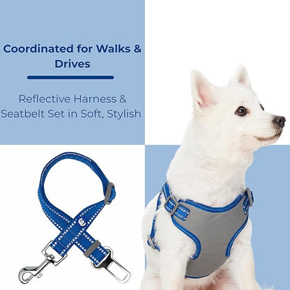 Blueberry Pet Pastel Colored Reflective Dog Harness with Seatbelt Clip – Adjustable No-Pull Pet Vest for Walking and Car Safety, Medium Size in Navy Blue