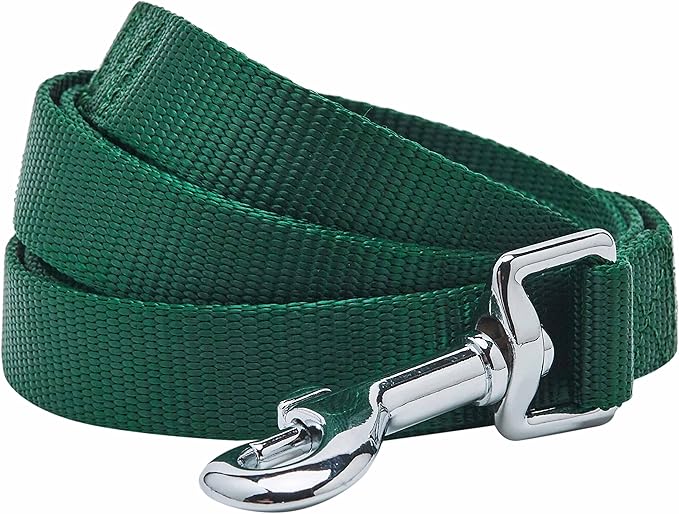 Blueberry Pet Essentials | Verdant Green Nylon Leash, 5ft x 3/4" | Lightweight & Durable for Training Standard Leashes & Lightweight for Training