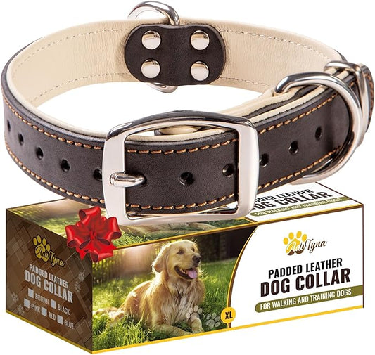 ADITYNA Heavy-Duty Leather Dog Collar for Medium Dogs - Soft Padded for Comfort - Black Dog Collar for Walking, Training, and Hiking