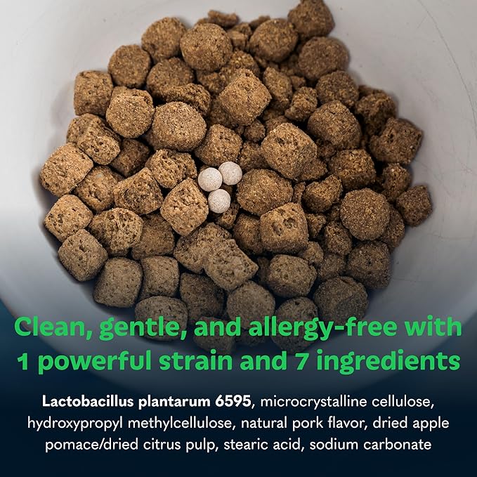 Tails ’N’ Tummies Probiotics for Dogs: 60 Tiny Tablets for Allergies, Itchy Skin, Diarrhea & Digestive Relief – Gentle, Clean Formula for Dogs