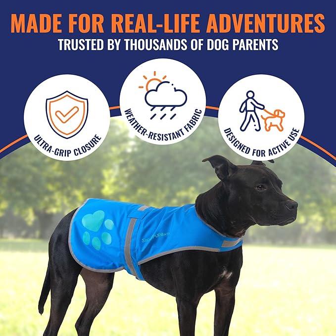 SafetyPUP XD Dog Reflective Vest – Hi-Vis Fluorescent Visibility That Helps to Safeguard Your Pet On/Off Leash in Urban & Rural Areas (Blue, Small)