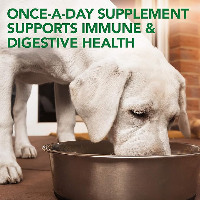 Vet's Best Probiotic Soft Chews Dog Supplement - Supports Dog Digestive Health - Promotes a Healthy Gut - 30 day supply