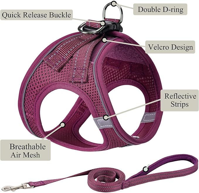 Dog Harness with Leash Set, No Pull Adjustable Reflective Step-in Puppy Pet Vest Harnesses for Small Medium Large Dogs and Cats,Cranberry XS