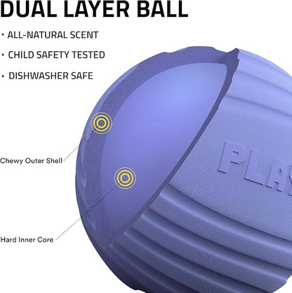 Playology Dog Toys | Dual Layer Ball Durable Chew Toy for Aggressive Chewers | Medium Blueberry Scented Toy - Easy to Clean and Made from Non Toxic Materials