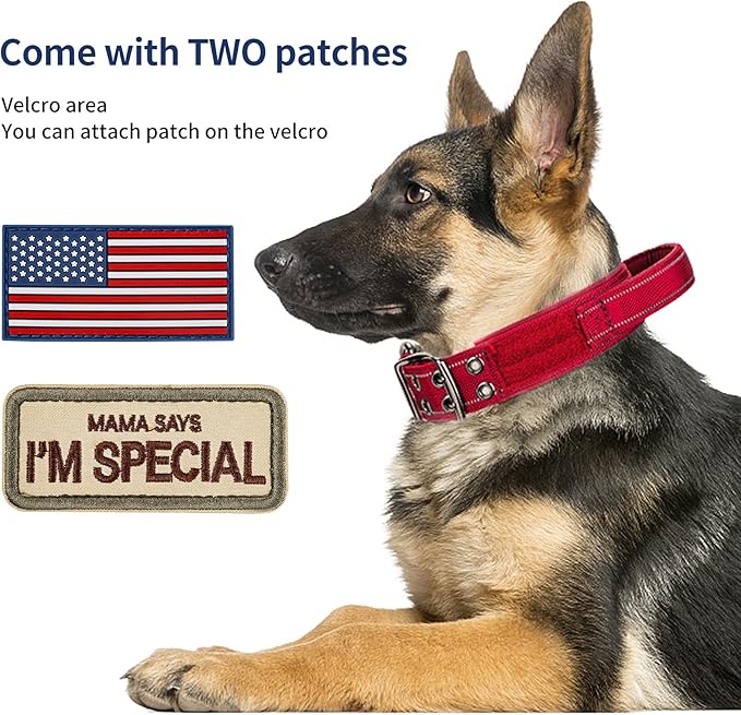 Annchwool Tactical Dog Collar for Medium and Large Dog,Adjustable Military Dog Collar with Soft Padded Handle,Heavy Duty Double Buckle Design(Red,XL)