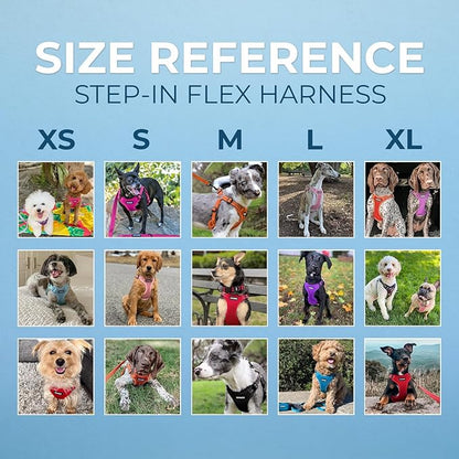 Best Pet Supplies Voyager Adjustable Step-in Flex Breathable Mesh Dog Harness for Small Medium Large Dogs Leash Set (Red), L