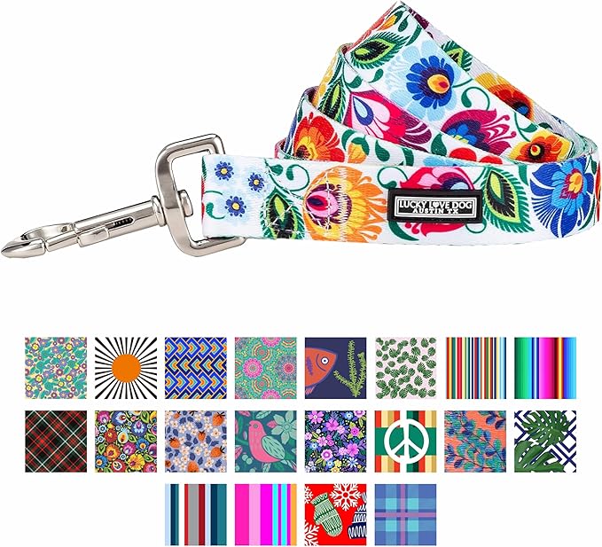 Lucky Love Dog Leash – Soft, Durable, and Comfortable Leash with Vibrant Patterns – Stylish and Long Lasting for Small Male and Female Dogs – Ladybird, Small
