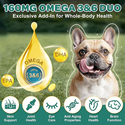 Probiotics for Dogs, Dog Probiotics with Digestive Enzymes, Prebiotics, Omega-3 & 6 and Vitamin for Dogs Digestive Health, 6 Billion CFUs for Gut Health and Immune Support, 180 Freeze-Dried Chews