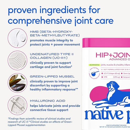 Native Pet Advanced Care - Hip & Joint Supplement for Dogs - Supports Joints, Cartilage, Muscles & Anti-Inflammatory with HMB, UC-II Collagen, Green Lipped Mussel & Hyaluronic Acid - 30 Scoops