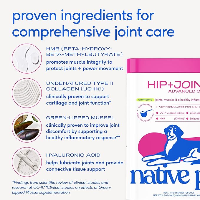 Native Pet Advanced Care - Hip & Joint Supplement for Dogs - Supports Joints, Cartilage, Muscles & Anti-Inflammatory with HMB, UC-II Collagen, Green Lipped Mussel & Hyaluronic Acid - 120 Scoops
