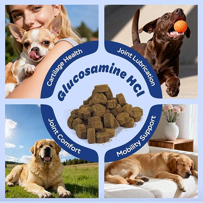 Dog Hip & Joint Supplement with Glucosamine, Chondroitin & MSM – Joint Support Chews with Vitamins C & E for Dogs 120 Soft Chews