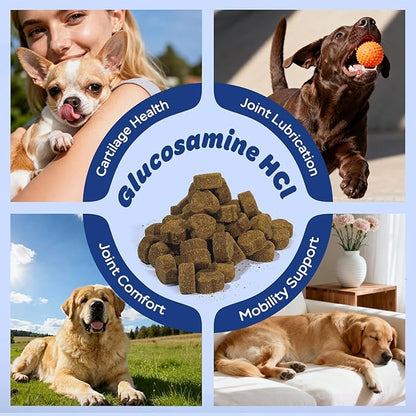 Dog Hip & Joint Supplement with Glucosamine, Chondroitin & MSM – Joint Support Chews with Vitamins C & E for Dogs 120 Soft Chews