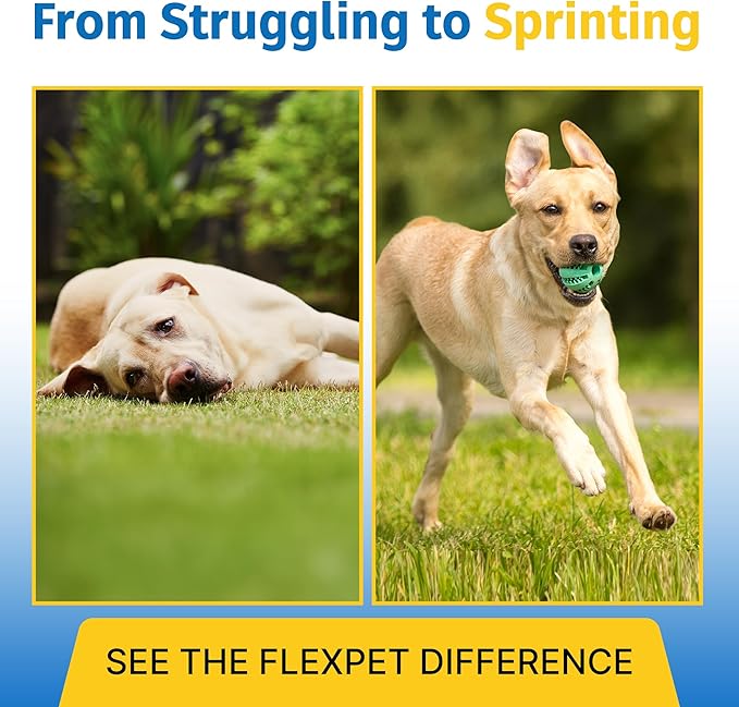 Hip & Joint Supplement for Dogs & Cats with Cetyl Myristoleate, Glucosamine, Collagen, MSM - Max Strength Joint Support for Mobility, Senior Pets, Large Breeds - 60 Soft Chews (Bacon/Cheese)