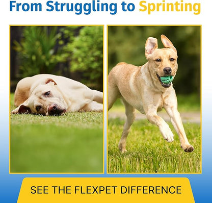 Hip & Joint Supplement for Dogs & Cats with Cetyl Myristoleate, Glucosamine, Collagen, MSM - Max Strength Joint Support for Mobility, Senior Pets, Large Breeds - 60 Soft Chews (Bacon/Cheese)
