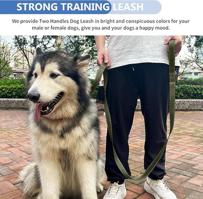 Strong Heavy Duty Dog Leash - 5ft Reflective Nylon Training Leash with Soft Padded Double Handle & Auto Lock Frog Clip - Safety Traffic Control for Large Medium Small Dogs No Pull Walk Army Green,5ft