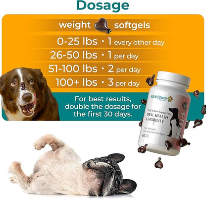1TDC WorksSoWell Dual Action Hip and Joint Supplement for Dogs & Cats - for Large & Small Breed - Great for Oral Health, Stamina Recovery & Arthritis Pain Relief -60 ct