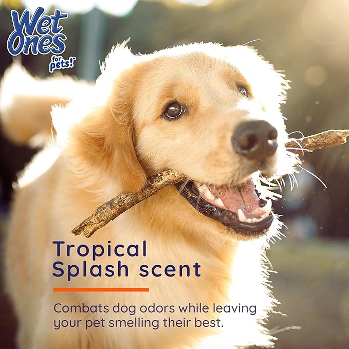 Wet Ones for Pets Multipurpose Dog Wipes with Aloe Vera, Tropical Splash Scent - Extra Large Pet Bathing Wipes with Wet Lock Seal for Dog Paws & All Over Use, 10 Count