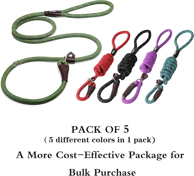 Fida Durable Slip Lead Dog Leash Bulk Pack of 5, Heavy Duty 1/2" x 6 FT Comfortable Strong Rope Slip Lead for Large, Medium & Small Dogs No Pulling Pet Training Leash with Highly Reflective (Mixed)
