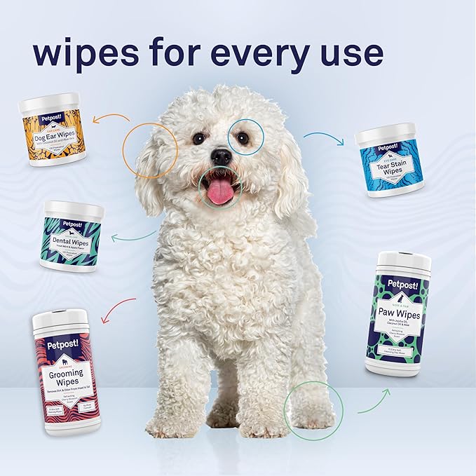 Petpost Dental Wipes for Dogs | 100 Count Presoaked Pads in Natural Tooth Cleaning Solution | Bad Breath and Tooth Buildup Remover