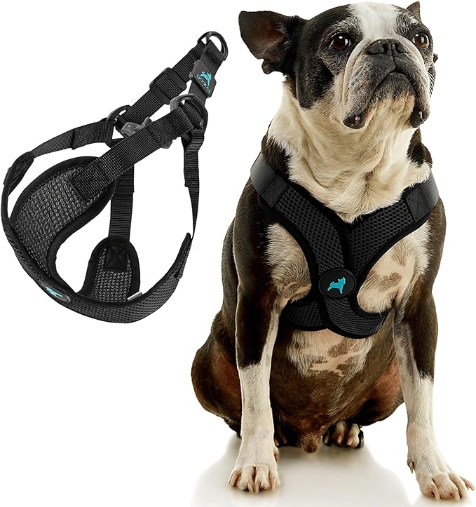 Gooby Comfort X Step in Lite Dog Harness - Choke Free, Escape Free with Light Breathable Mesh - Step in Dog Harness for Small Dogs Only - Quick Release Buckle, Metal D-Rings - Black, Large