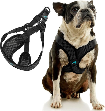 Gooby Comfort X Step in Lite Dog Harness - Choke Free, Escape Free with Light Breathable Mesh - Step in Dog Harness for Small Dogs Only - Quick Release Buckle, Metal D-Rings - Black, Large