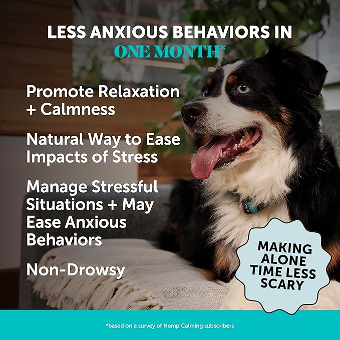 Natural Hemp Calming Chews for Dogs - Calming Aid Supplement for Occasional Anxiousness with Valerian Root, Chamomile, + Magnesium - Stress, Separation & Thunder Support - (Beef Liver, 90 Count)