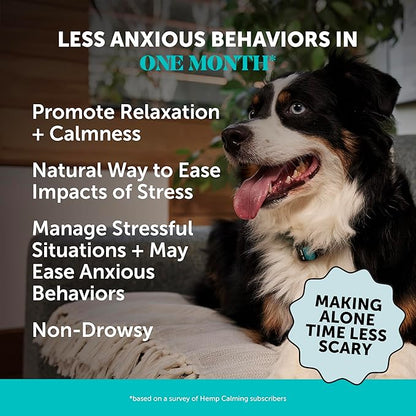 Natural Hemp Calming Chews for Dogs - Calming Aid Supplement for Occasional Anxiousness with Valerian Root, Chamomile, + Magnesium - Stress, Separation & Thunder Support - (Beef Liver, 90 Count)