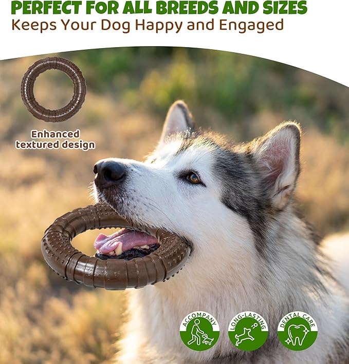 IPTPAS Tough Dog Chew Toy for Aggressive Chewers, Indestructible Beef Flavor Nylon Bone, Durable Dental Toy for Teeth Cleaning & Anxiety Relief, for Small Medium Large Dogs, Keep Them Busy (Brown-O)