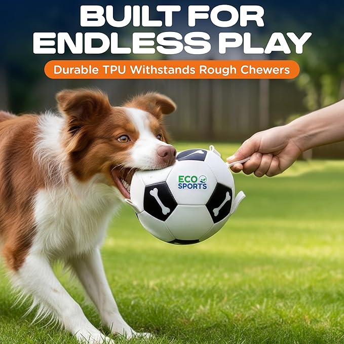 Eco Sports Small Dog Soccer Ball with Straps – Size 2, Interactive Durable Dog Soccer Ball with Cotton Grab Tabs for Fetch Training and Outdoor Play, for Small Size Pets and Puppies