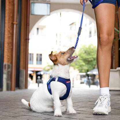 EzyDog FORMFIT Dog Harness for Small Sized Dog - All Weather Breathable Mesh Small Dog Harness with Reflective Trim, Easy Hook & Loop Closure, Sturdy Buckle, & D-Ring (Blue, XL)