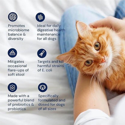 AnimalBiome Cat Probiotics - GMP Prebiotics and Probiotics - Reduces Diarrhea Flareups for Cats - KittyBiome