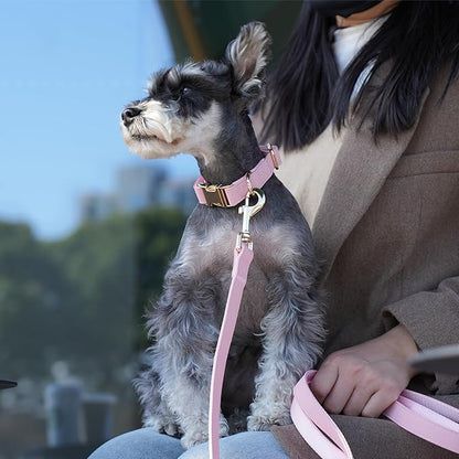 PET ARTIST Soft PU Leather Dog Collar and Leash Set, Bright & Stylish 5FT PU Leather Leash and Collar Set, Durable Pet Collars with Quick Release Metal Buckle for Small Dogs,Pink,S(9"-14")
