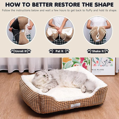 Baodan Small Dog Bed for Small Dogs, Cat Beds for Indoor Cats Washable, Rectangle Dog Bed, Warming Soft Calming Sleeping Puppy Bed Durable Pet Bed with Anti-Slip Bottom (20 inch, Coffee)