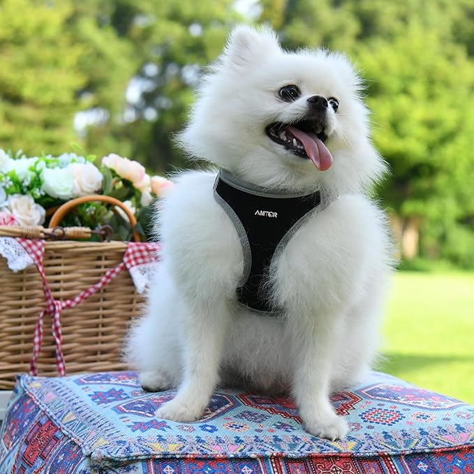 AMTOR Small Dog Harness with Leash Set, No Escape Easy Walk Puppy Harnesses for Training Walking, Step-in Reflective Soft Dogs Vest for XS S Medium Extra-Small Large Sized Dog(S,Black/Grey)