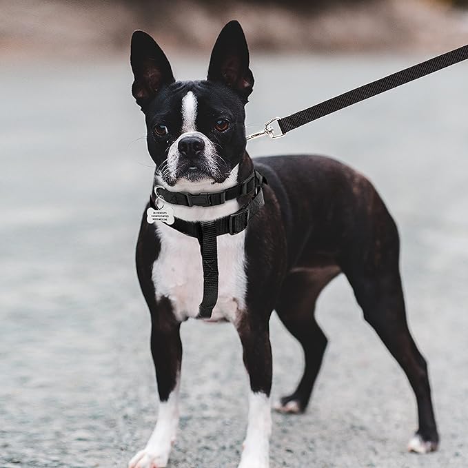 No Pull Dog Harness - Adjustable Step-in Harness & Leash Set for Small, Medium, Large Dogs - Escape Proof Soft Pet Harness for Walking, Training, Hiking, Outdoor Activities