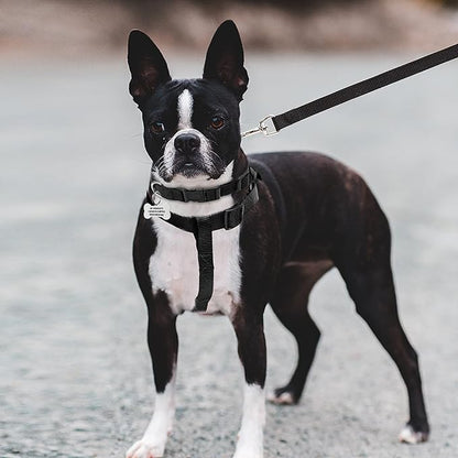 No Pull Dog Harness - Adjustable Step-in Harness & Leash Set for Small, Medium, Large Dogs - Escape Proof Soft Pet Harness for Walking, Training, Hiking, Outdoor Activities