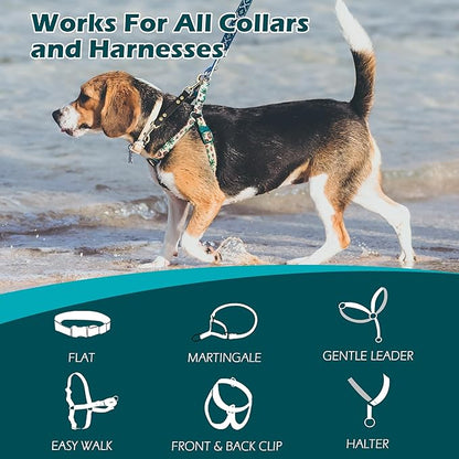 PetBonus Dog Collar Safety Clip, Waterproof Backup Safety Strap for Dog Harness to Prong Collar, Odor Proof Double Ended Clasp Leash Connector for Training Walking (Black)