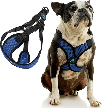 Gooby Comfort X Step in Lite Dog Harness - Choke Free, Escape Free with Light Breathable Mesh - Step in Dog Harness for Small Dogs Only - Quick Release Buckle, Metal D-Rings - Blue, Small