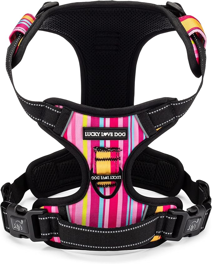 Lucky Love Dog No Pull Dog Harness, Adjustable and Easy to Walk, Cute Patterned Harness for Small Male & Female Dogs - Molly, XS