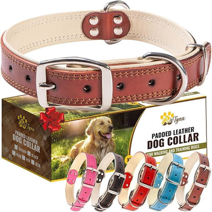ADITYNA Heavy-Duty Leather Dog Collar for Large Dogs - Soft Padded for Comfort - Large Dog Collar for Walking, Training, and Hiking