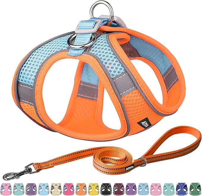 AIITLE Escape Proof Dog Harness - Step in Adjustable Dog Harness No Choke Over with Breathable Mesh and Quick-Release Buckle for All Weather- Outdoor Walking, Training for Medium Dogs Orange XL