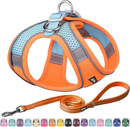 AIITLE Escape Proof Dog Harness - Step in Adjustable Dog Harness No Choke Over with Breathable Mesh and Quick-Release Buckle for All Weather- Outdoor Walking, Training for Medium Dogs Orange XL