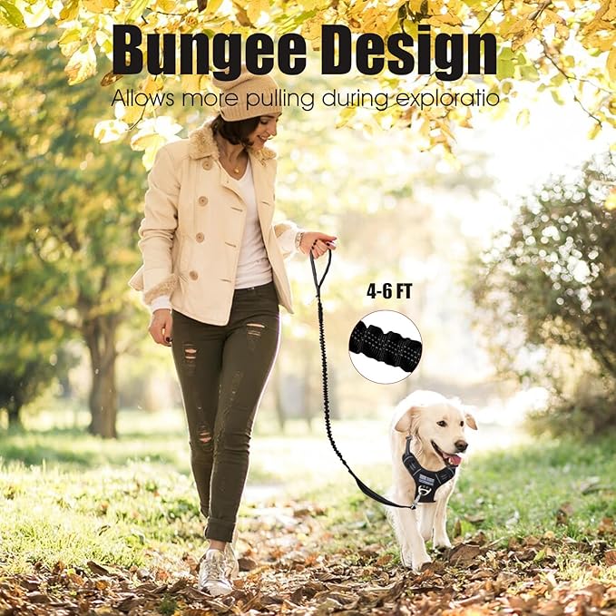 BUMBIN 6Ft Bungee Leash With 2 Handles for Large, Medium, Small Dogs - Heavy Duty, No Pull Shock Absorbing With Car Seat Belt for Training, Black