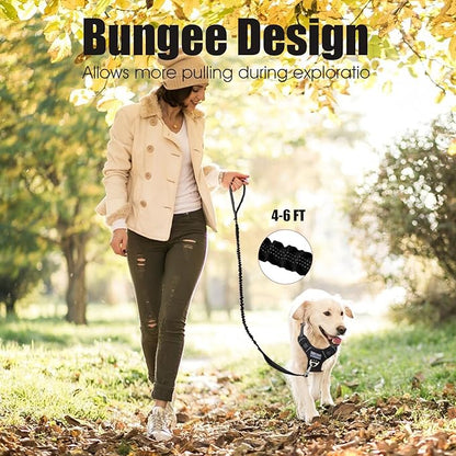 BUMBIN 6Ft Bungee Leash With 2 Handles for Large, Medium, Small Dogs - Heavy Duty, No Pull Shock Absorbing With Car Seat Belt for Training, Black