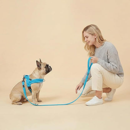 Didog Soft Flannel Padded Dog Vest Harness, No Pull/Quick Fit Reflective Dog Strap Harness, Easy for Training Walking (S:Chest 18-22", Blue)
