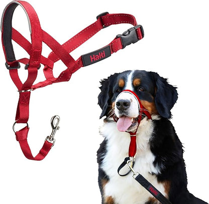 Halti Headcollar - Stop Your Dog Pulling on The Leash. Adjustable, Reflective and Lightweight, with Padded Nose Band. Dog Training Anti-Pull Collar for Large Dogs (Size 4, Red)