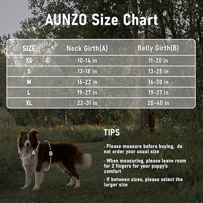 Dog Harness for Extra Large Dog Breeds, No Pull Adjustable Pet Harness with Handle, Reflective Dog Vest for Walking Hiking Training, Blue Ethnic, XL