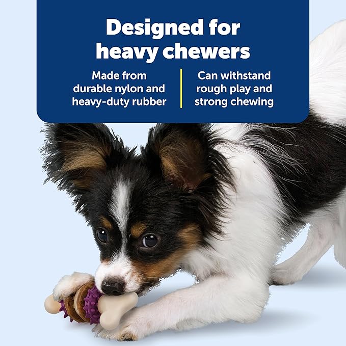 PetSafe Busy Buddy Bristle Bone - Chew Toy for Dogs - Boredom Relief & Dental Care - Durable Nylon Build with Rubber Nubs - Includes Treat Ring Refills - Dishwasher Safe Design