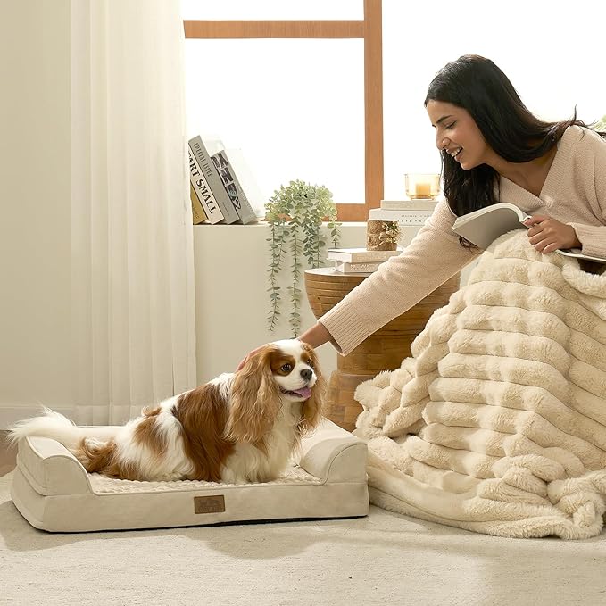 COZY KISS Orthopedic Dog Bed for Small Medium Size Dogs, Bolster Pet Couch with Waterproof Lining, Egg Crate Foam Sofa for Pets Up to 30 lbs, U-Shaped, 30x20x6.5 inch, Beige